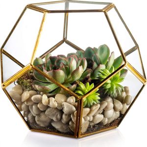 Terrarium 0004